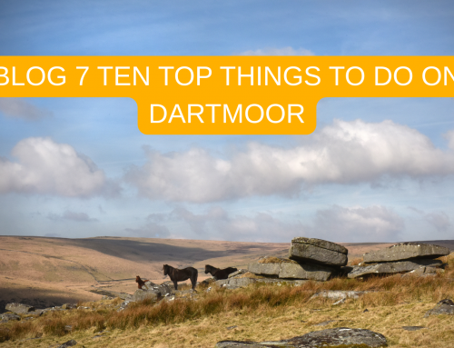 TOP TEN BEST THINGS TO DO ON DARTMOOR