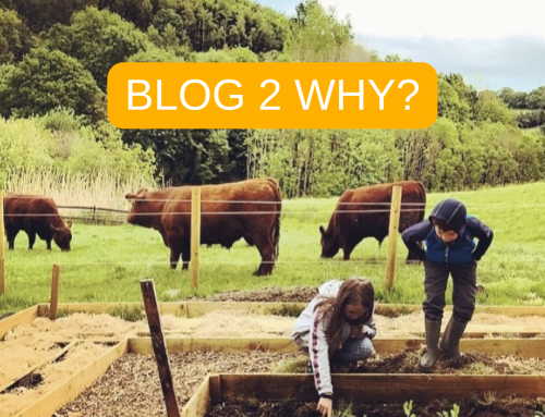 REGENERATING THE FARM