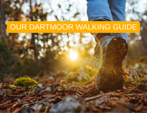 OUR DARTMOOR WALKING GUIDE
