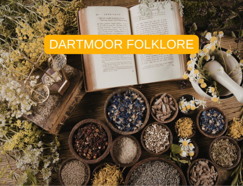 DARTMOOR FOLKLORE