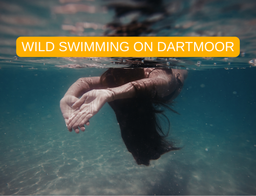 WILD SWIMMING ON DARTMOOR