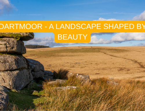 DARTMOOR – A LANDSCAPE SHAPED BY NATURE