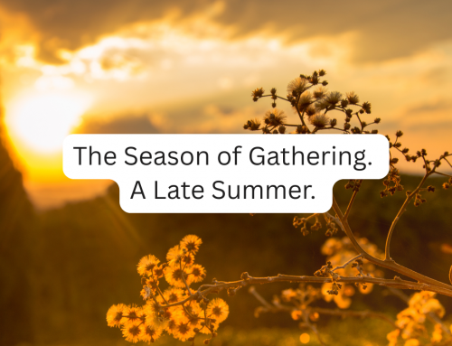 The Season of Gathering. A Late Summer.